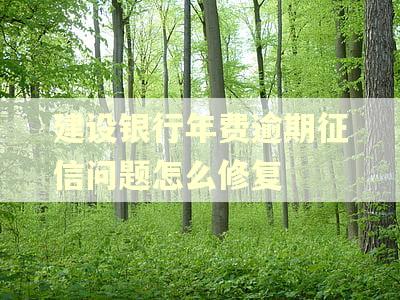 建设银行年费逾期征信问题怎么修复
