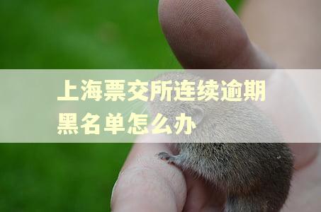上海票交所连续逾期黑名单怎么办