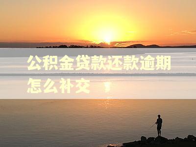 公积金贷款还款逾期怎么补交