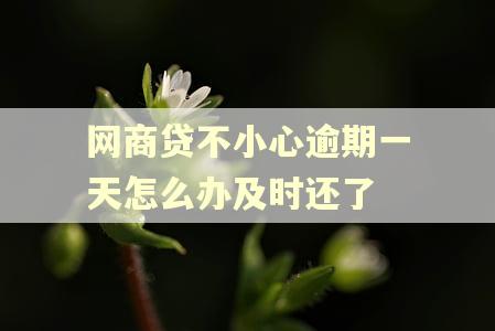 网商贷不小心逾期一天怎么办及时还了