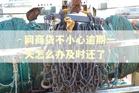 网商贷不小心逾期一天怎么办及时还了 网商贷不小心逾期一天怎么办及时还了