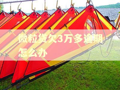 微粒贷欠3万多逾期怎么办