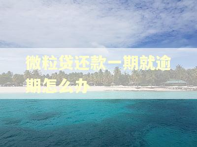 微粒贷还款一期就逾期怎么办