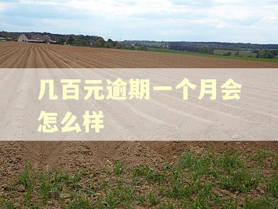 几百元逾期一个月会怎么样