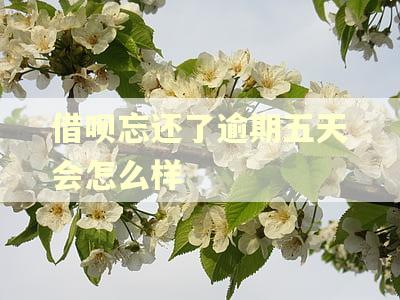 借呗忘还了逾期五天会怎么样