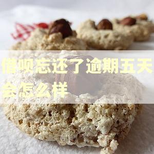 借呗忘还了逾期五天会怎么样 借呗忘还了逾期五天会怎么样