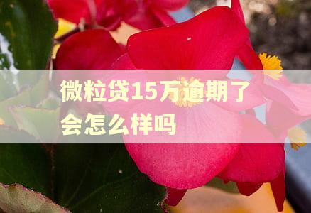 微粒贷15万逾期了会怎么样吗
