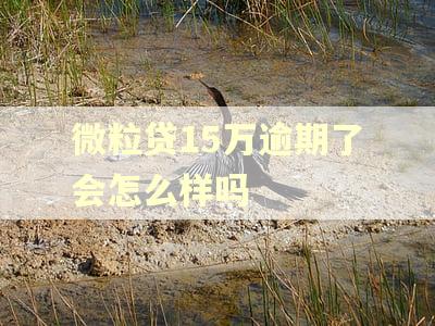 微粒贷15万逾期了会怎么样吗