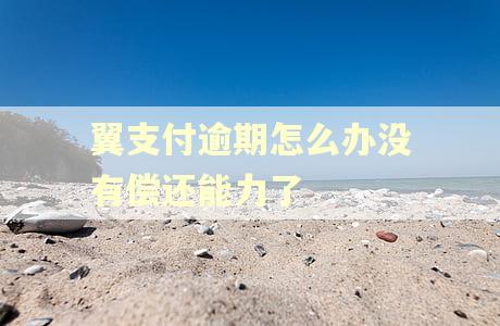 翼支付逾期怎么办没有偿还能力了