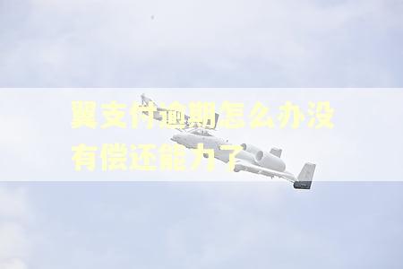 翼支付逾期怎么办没有偿还能力了