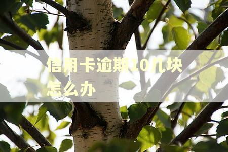 信用卡逾期10几块怎么办