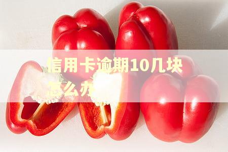 信用卡逾期10几块怎么办