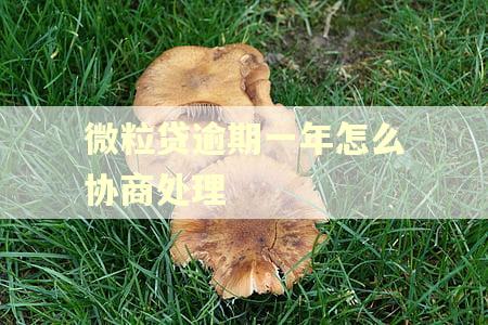 微粒贷逾期一年怎么协商处理