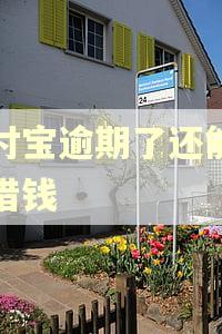 支付宝逾期了还能怎么借钱