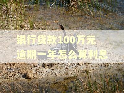 银行贷款100万元逾期一年怎么算利息 银行贷款100万元逾期一年怎么算利息