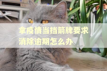 拿疫情当挡箭牌要求消除逾期怎么办
