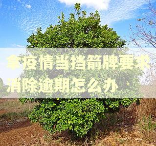 拿疫情当挡箭牌要求消除逾期怎么办