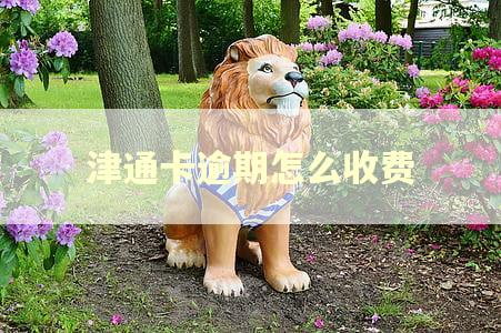 津通卡逾期怎么收费