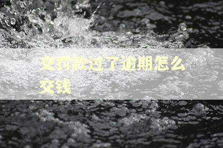 交罚款过了逾期怎么交钱 交罚款过了逾期怎么交钱