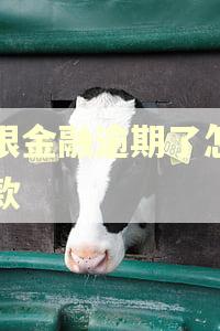 北银金融逾期了怎么还款
