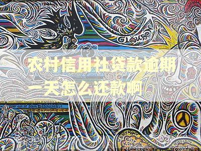 农村信用社贷款逾期一天怎么还款啊