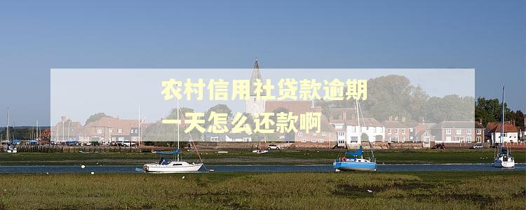 农村信用社贷款逾期一天怎么还款啊