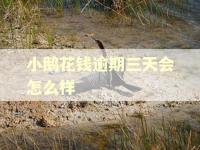 小鹅花钱逾期三天会怎么样