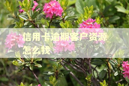 信用卡逾期客户资源怎么找