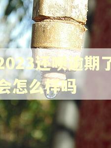 2023还呗逾期了会怎么样吗 2023还呗逾期了会怎么样吗