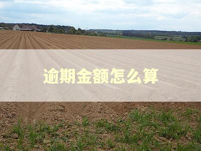 逾期金额怎么算