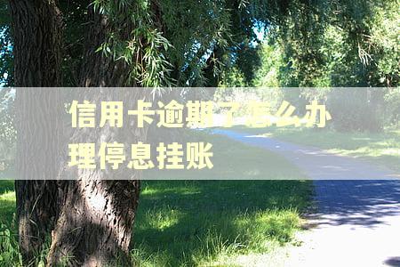 信用卡逾期了怎么办理停息挂账