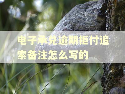 电子承兑逾期拒付追索备注怎么写的