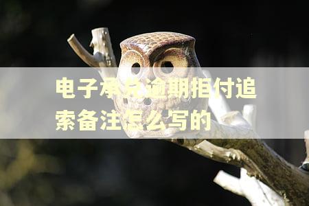 电子承兑逾期拒付追索备注怎么写的