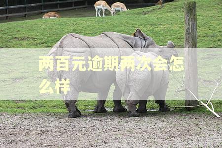 两百元逾期两次会怎么样