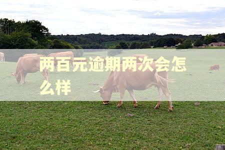 两百元逾期两次会怎么样