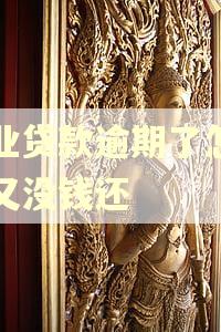 农业贷款逾期了怎么办又没钱还