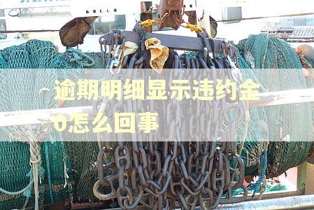 逾期明细显示违约金0怎么回事