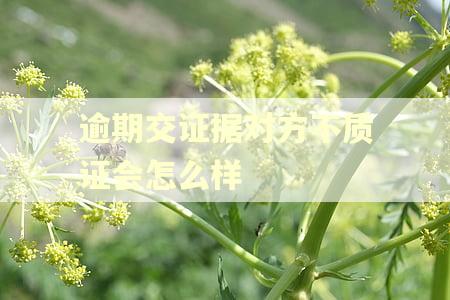 逾期交证据对方不质证会怎么样