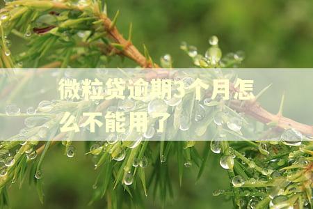 微粒贷逾期3个月怎么不能用了 微粒贷逾期3个月怎么不能用了