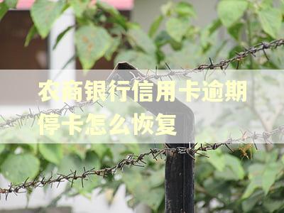 农商银行信用卡逾期停卡怎么恢复