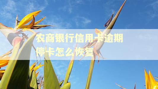 农商银行信用卡逾期停卡怎么恢复