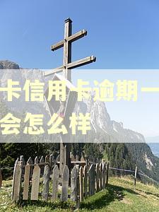 龙卡信用卡逾期一个月会怎么样