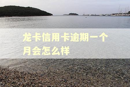 龙卡信用卡逾期一个月会怎么样 龙卡信用卡逾期一个月会怎么样