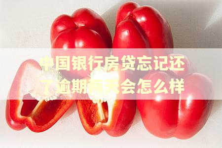 中国银行房贷忘记还了逾期两天会怎么样