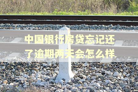 中国银行房贷忘记还了逾期两天会怎么样