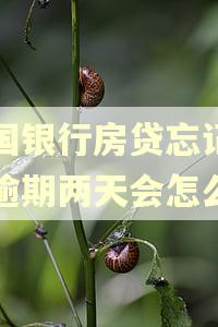中国银行房贷忘记还了逾期两天会怎么样