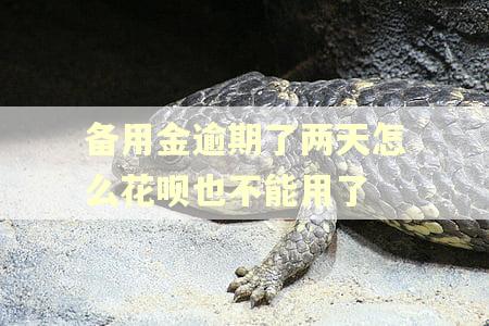 备用金逾期了两天怎么花呗也不能用了