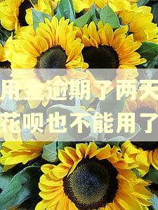 备用金逾期了两天怎么花呗也不能用了