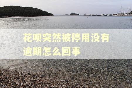 花呗突然被停用没有逾期怎么回事