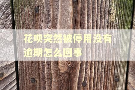 花呗突然被停用没有逾期怎么回事